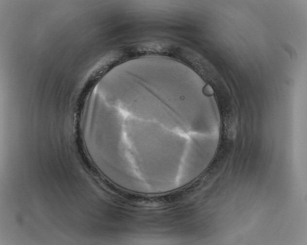 X0000113250735200910221120