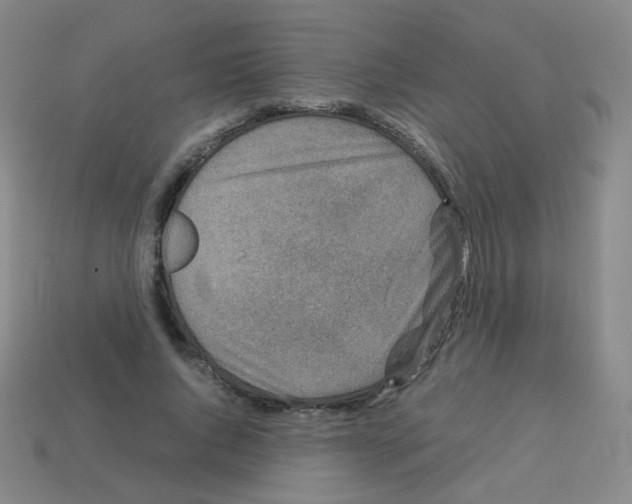 X0000113250736200910221121