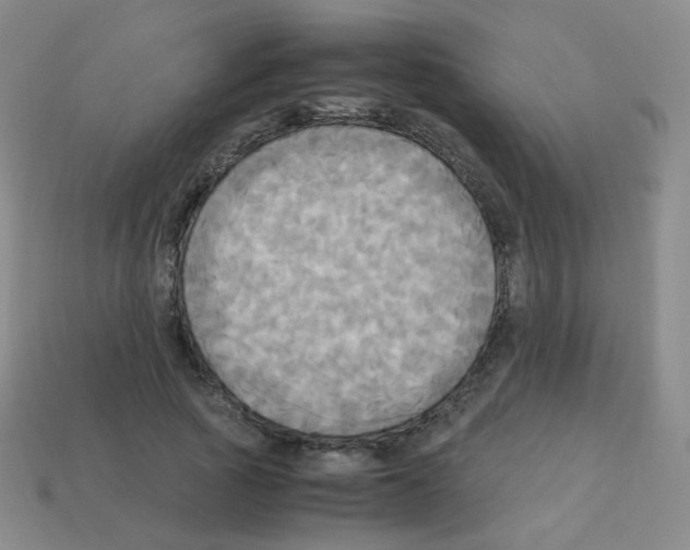 X0000113250737200910221121