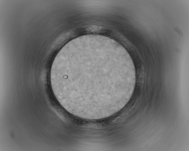 X0000113250738200910221121