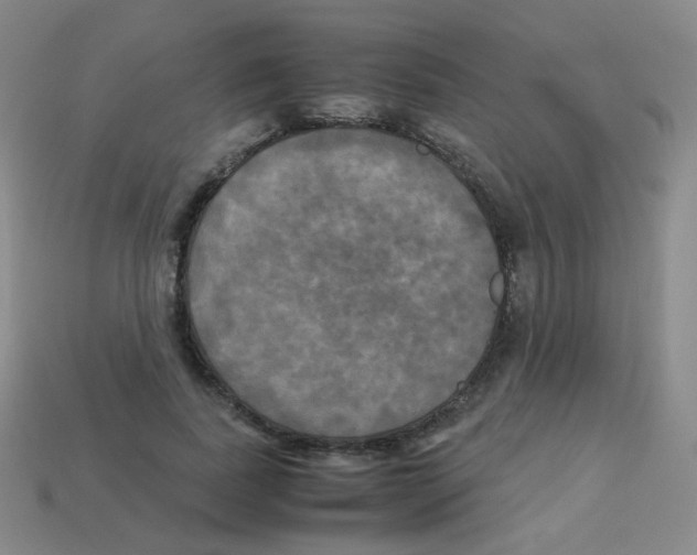 X0000113250739200910221121