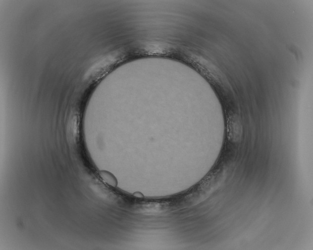 X0000113250740200910221121