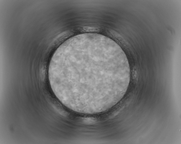 X0000113250741200910221121