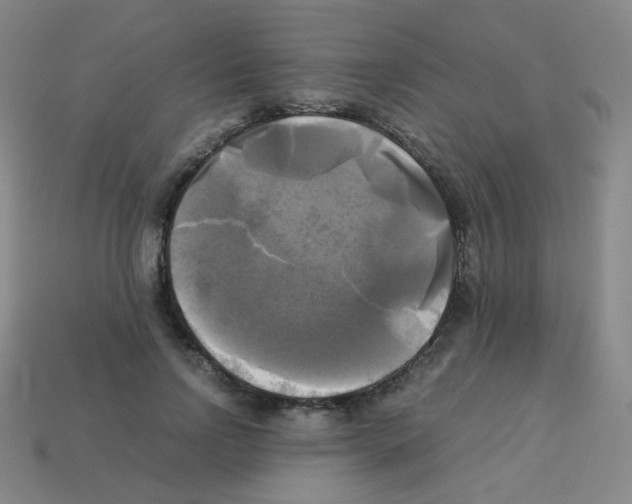 X0000113250742200910221121