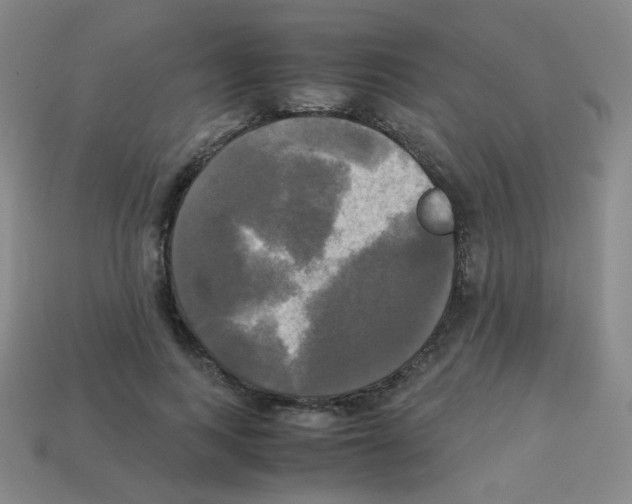 X0000113250743200910221121