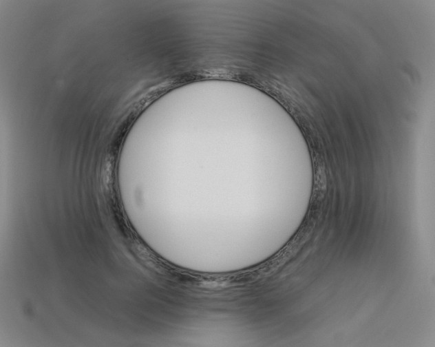 X0000113250744200910221121