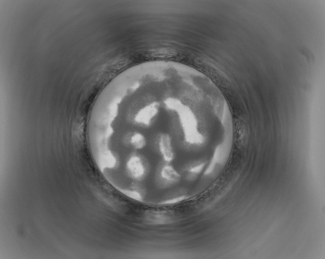 X0000113250745200910221121