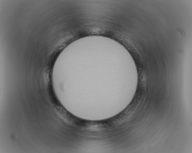 X0000113250746200910221121