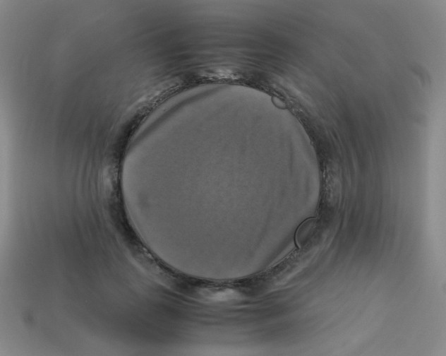 X0000113250747200910221121