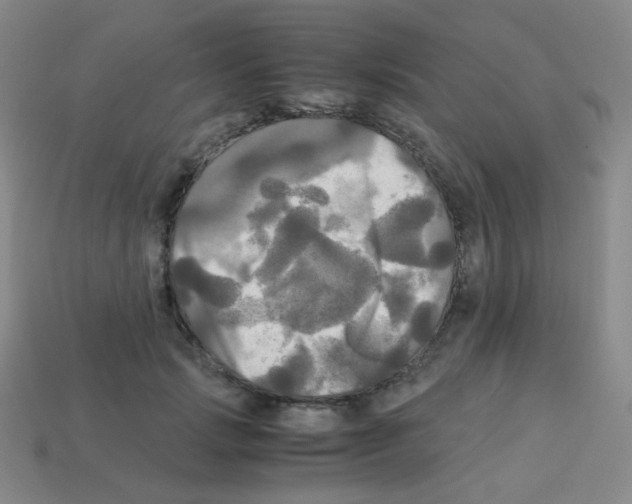 X0000113250749200910221121