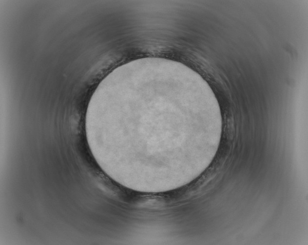 X0000113250750200910221121