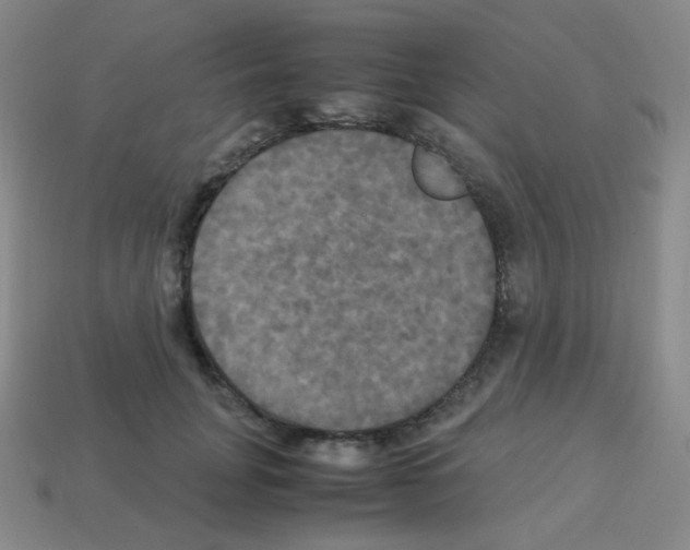 X0000113250751200910221121