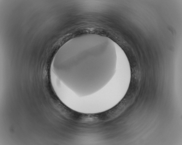 X0000113250754200910221121