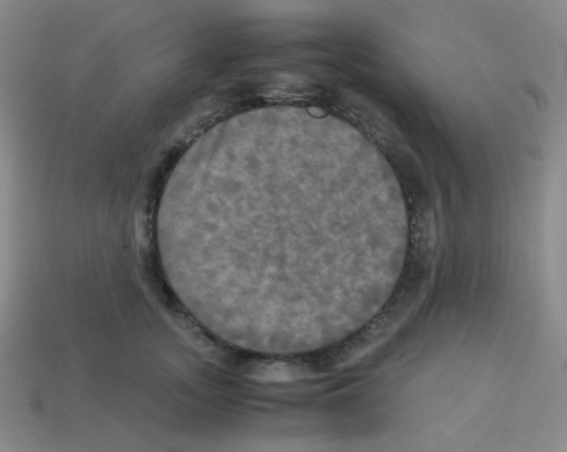 X0000113250755200910221121