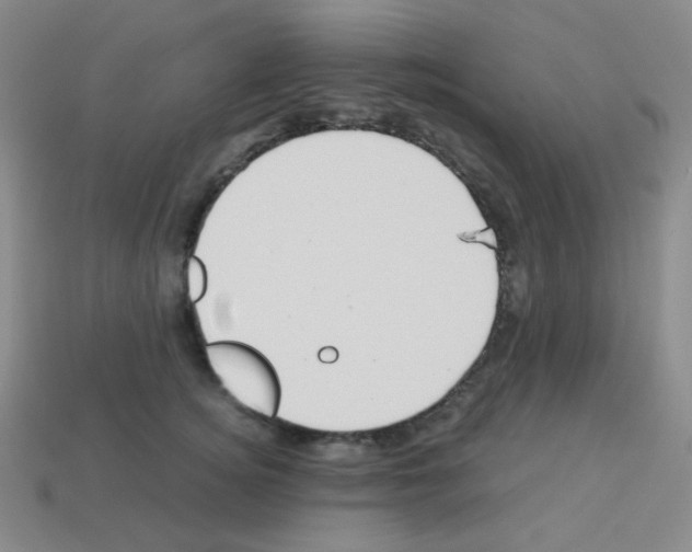 X0000113250756200910221121