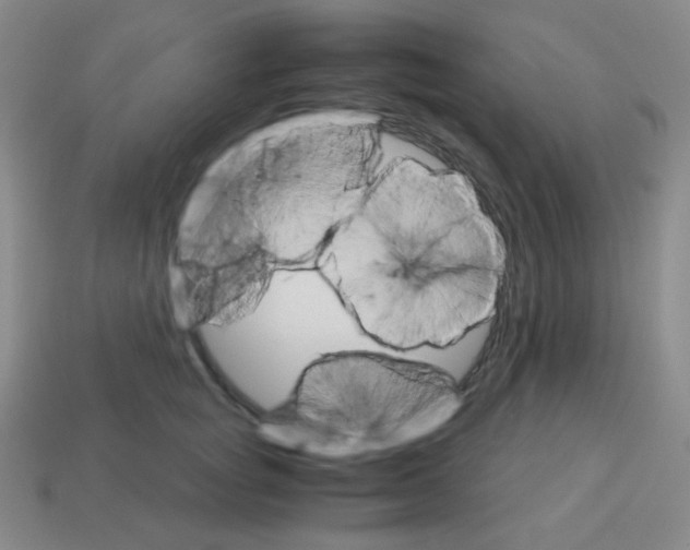 X0000113250757200910221121