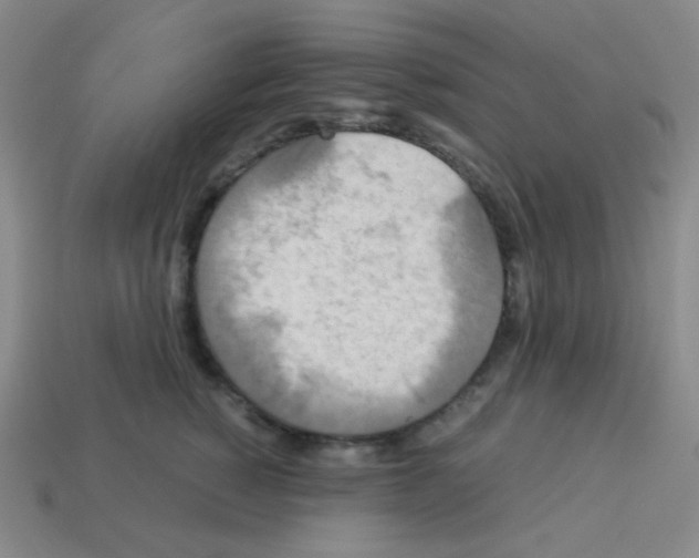 X0000113250760200910221121