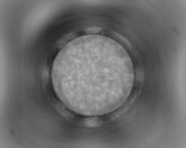 X0000113250761200910221121