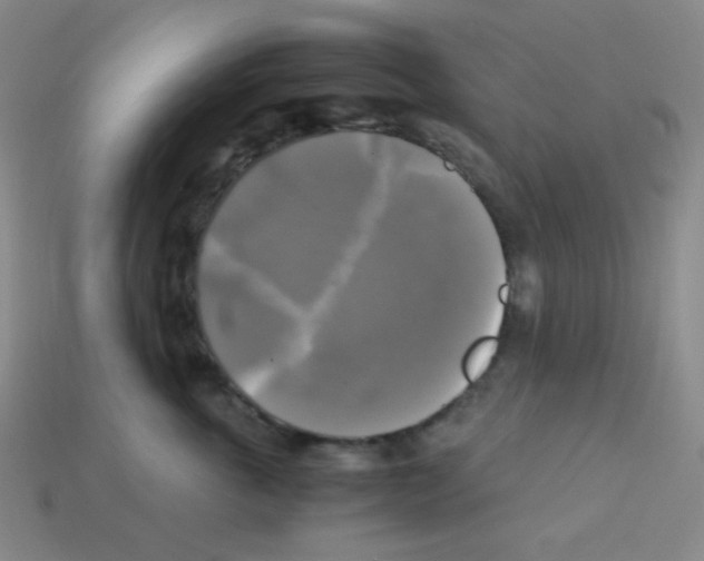 X0000113250763200910221121