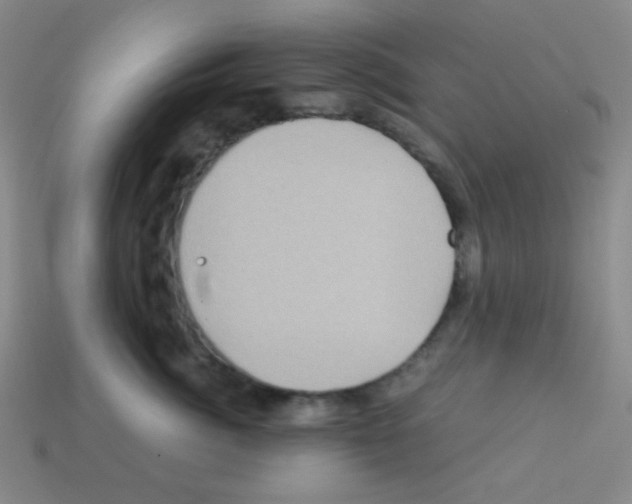 X0000113250764200910221121