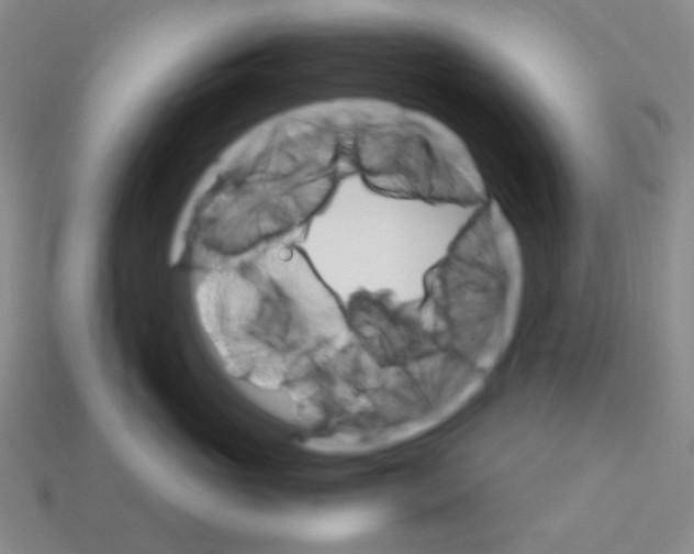 X0000113250765200910221121