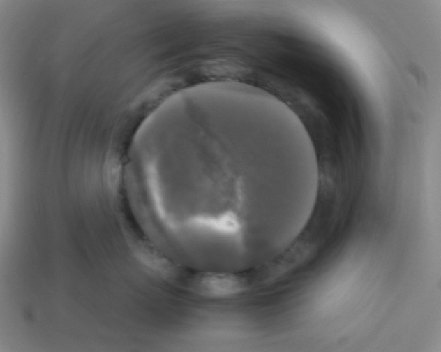 X0000113250767200910221121