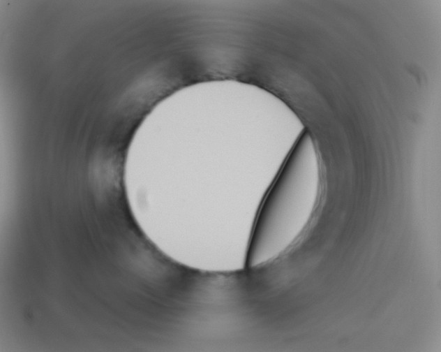 X0000113250768200910221121