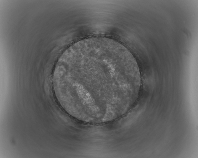 X0000113250769200910221120