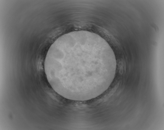 X0000113250770200910221120