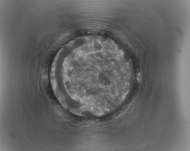 X0000113250771200910221120