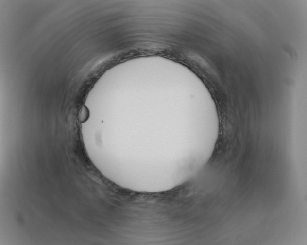 X0000113250773200910221120