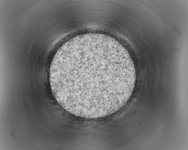 X0000113250776200910221120