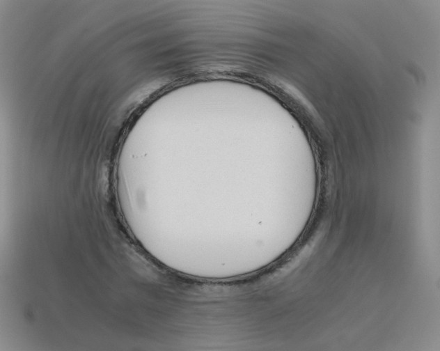 X0000113250777200910221120