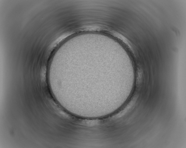 X0000113250778200910221120