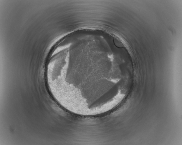 X0000113250779200910221120