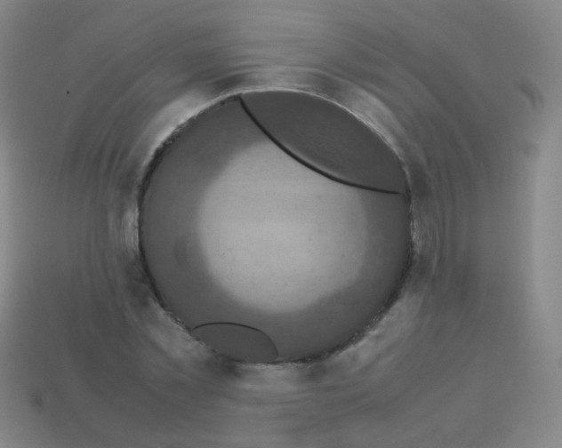 X0000113250781200910221120