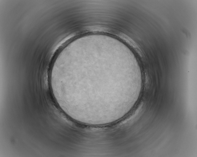 X0000113250782200910221120