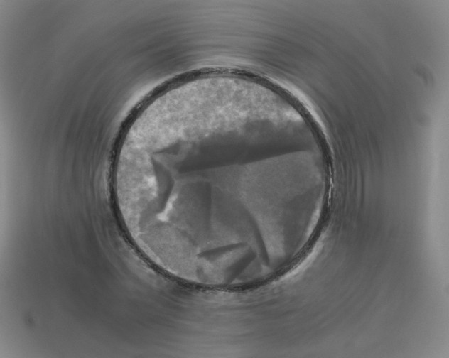 X0000113250783200910221120