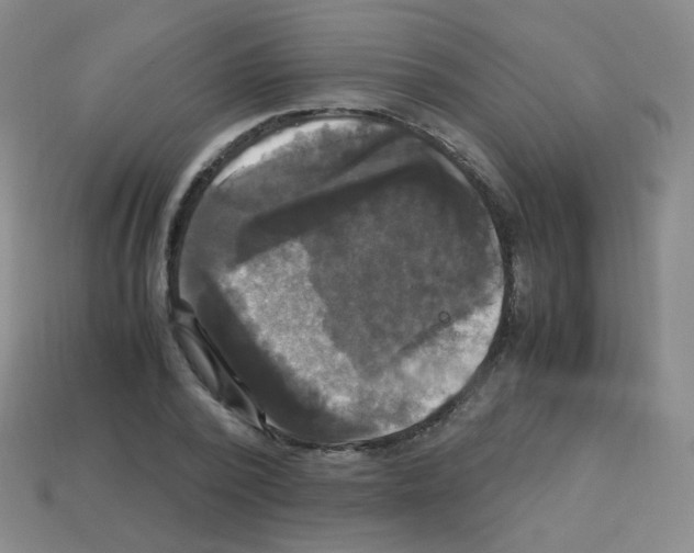 X0000113250784200910221120