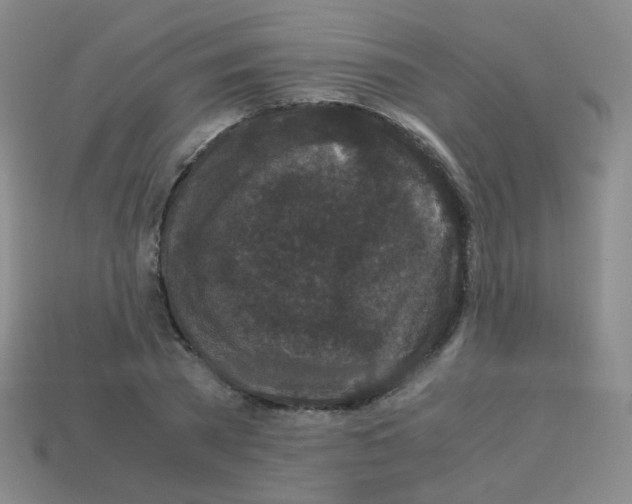 X0000113250785200910221120