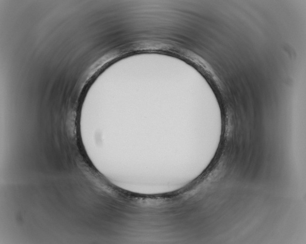 X0000113250786200910221120