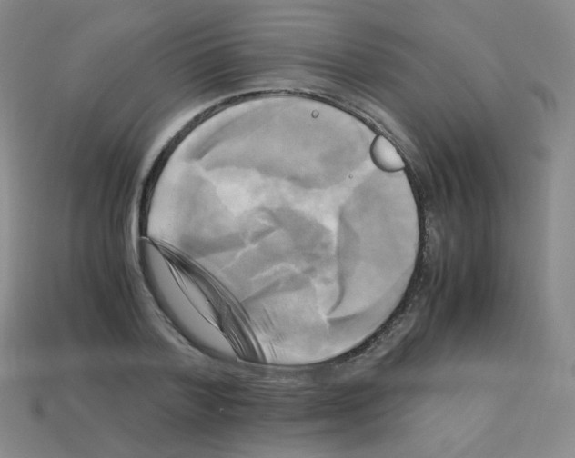 X0000113250788200910221120