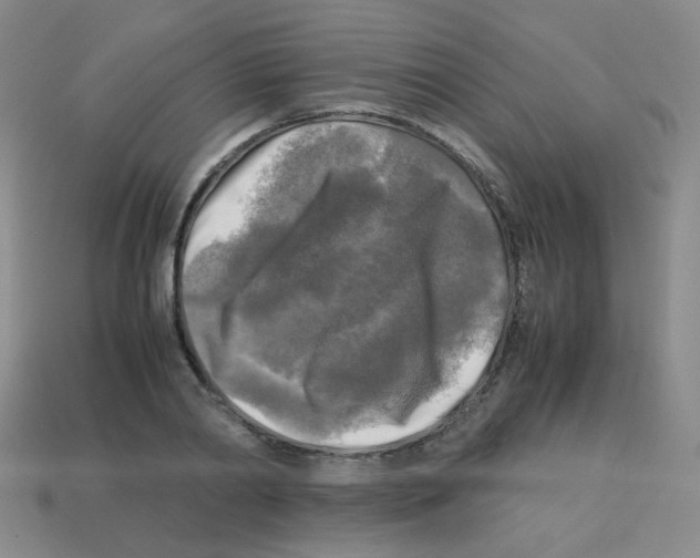 X0000113250790200910221120