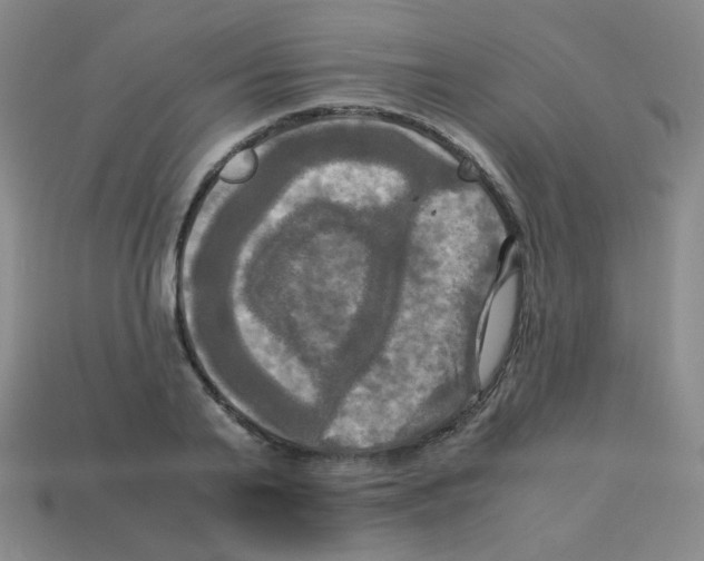 X0000113250791200910221120