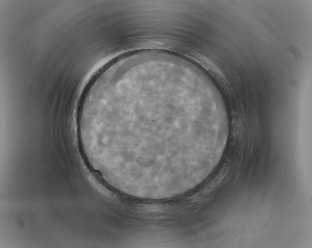 X0000113250792200910221120