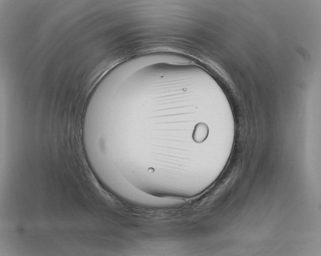 X0000113250793200910221120