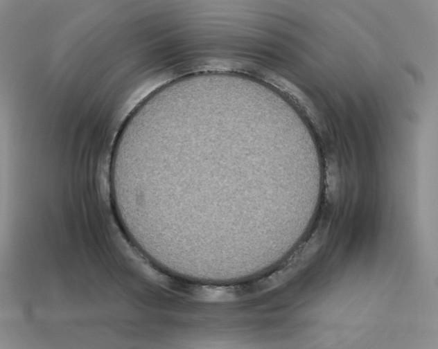 X0000113250794200910221120