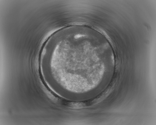 X0000113250795200910221120