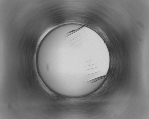 X0000113250796200910221120