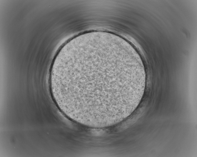 X0000113250799200910221120